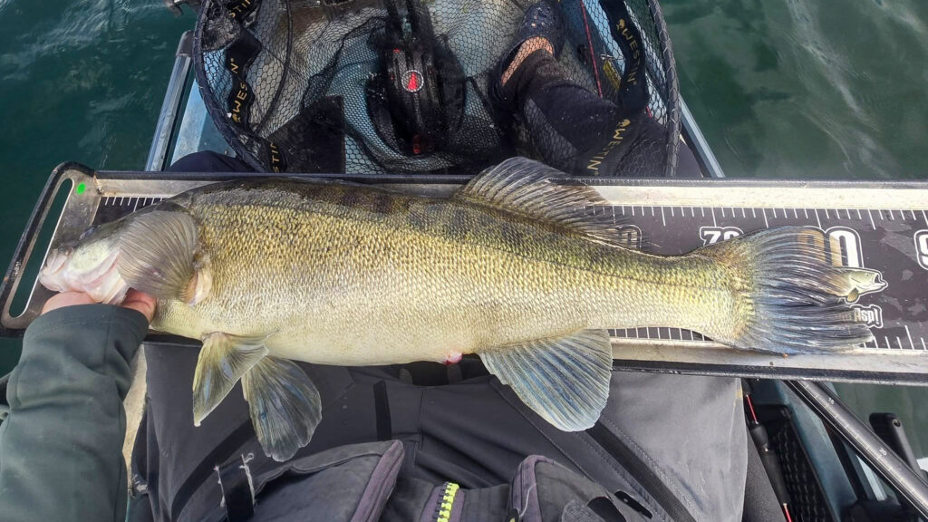 Zander kayak fishing uk